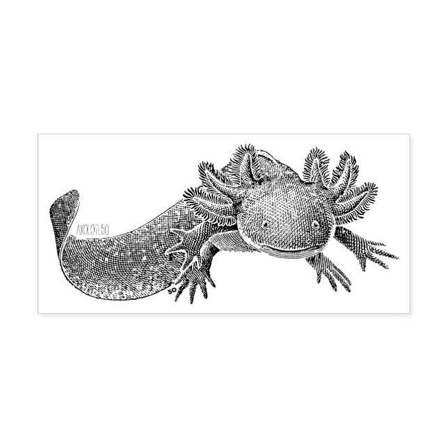 Caucho Sello de goma de Axolotl (Impresión)