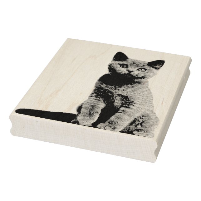 Caucho Sello de goma de foto personalizado (Sello)