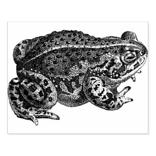 Caucho Sello de goma de rana grande