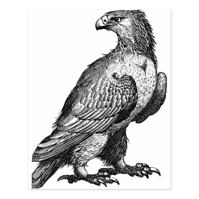 Caucho Sello de goma grande de águila (Impresión)