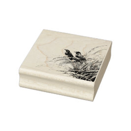 Caucho Sello postal de la alondra de pradera roja