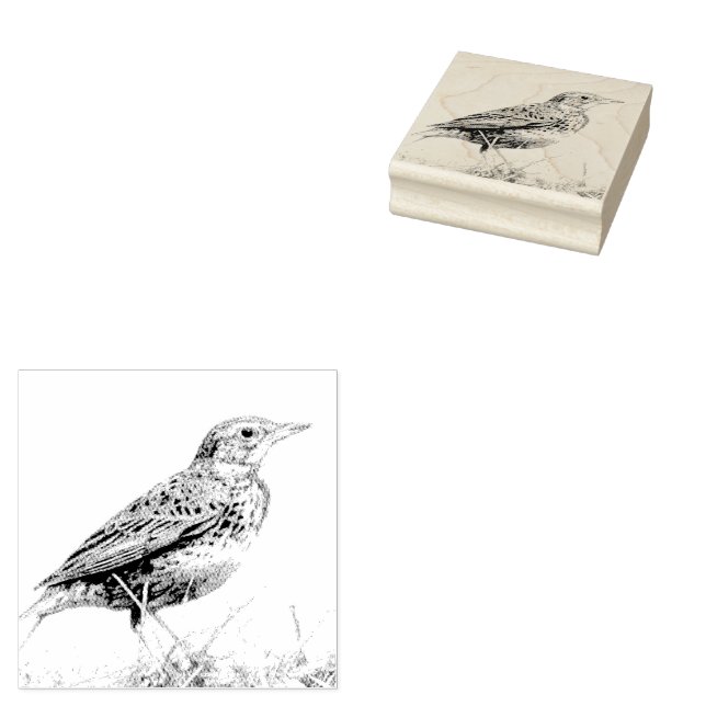 Caucho Sello postal de la alondra de pradera roja (Sellado)