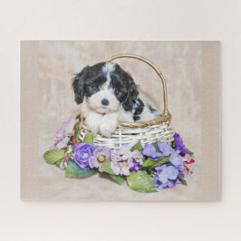 Cavachon Puppy en un rompecabezas de canasta