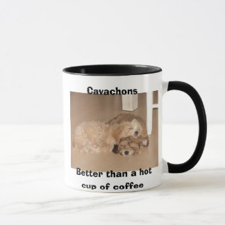 Cavachons mejor que una taza de café caliente
