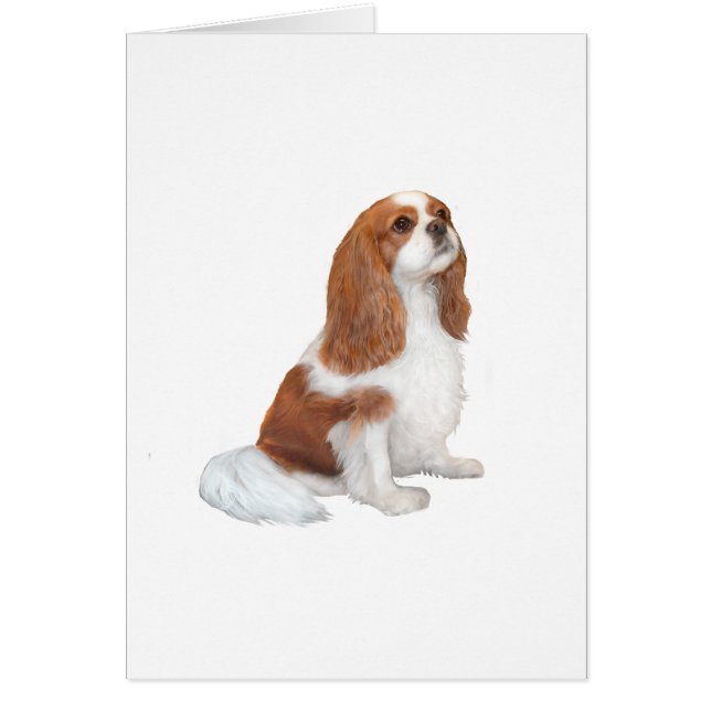 Cavalier A1 - Blenheim (F) (Frente)