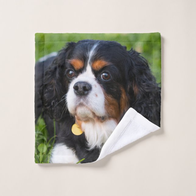 Cavalier de tres colores King Charles Spaniel Perr (Toallita)