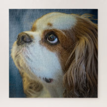 Cavalier King Charles Jigsaw rompecabezas