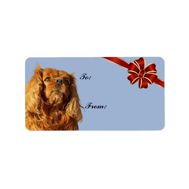 Cavalier King Charles Navidades Spaniel Etiqueta d (Frente)