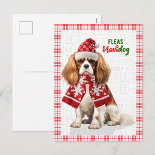Cavalier King Charles Perro Pulgas Navidog Navidad