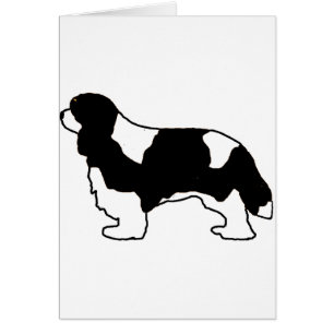 Cavalier King Charles silo blanco y negro
