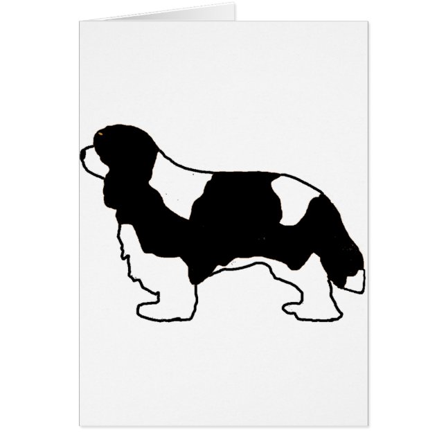 Cavalier King Charles silo blanco y negro (Frente)