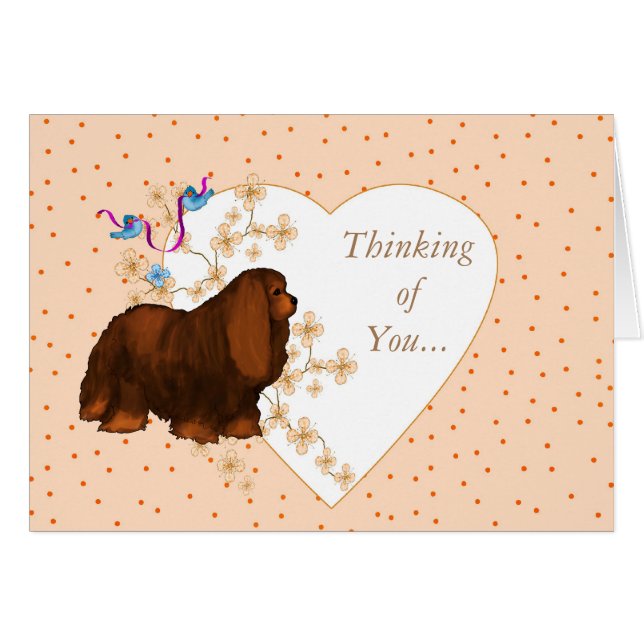 Cavalier King Charles Spaniel (Anverso (Horizontal))