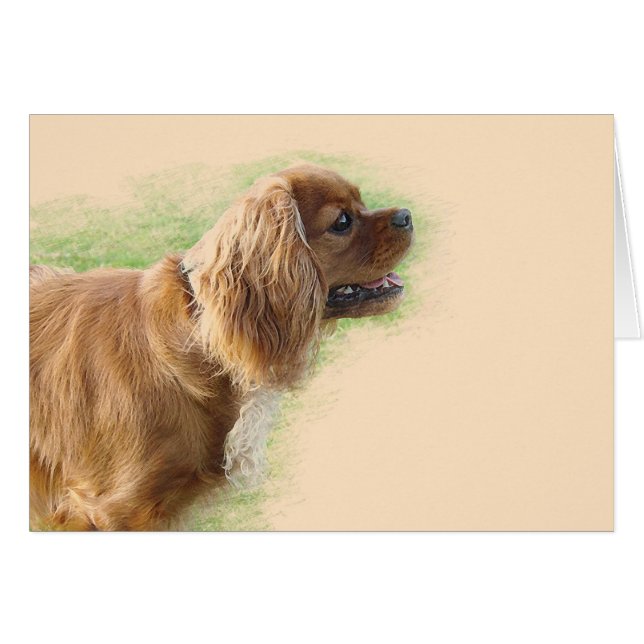 Cavalier King Charles Spaniel (Anverso (Horizontal))