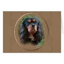 Cavalier King Charles Spaniel