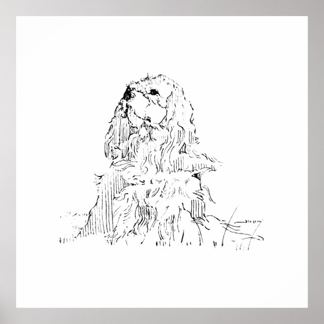 Cavalier King Charles Spaniel, Arte Minimalista (Frente)