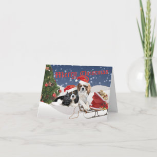 Cavalier King Charles Spaniel Feliz Navidad