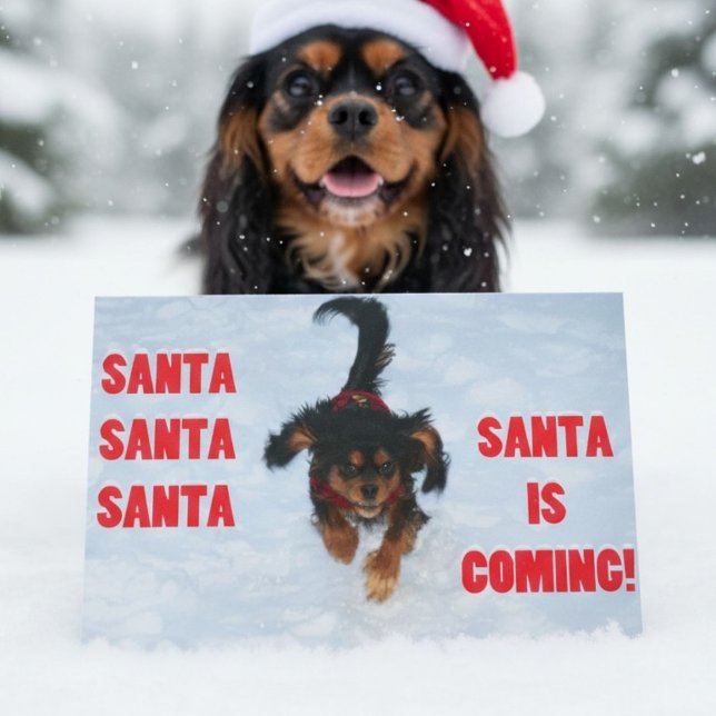 Cavalier King Charles Spaniel Navidad (Subido por el creador)