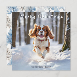 Cavalier King Charles Spaniel Perro Feliz Navidad