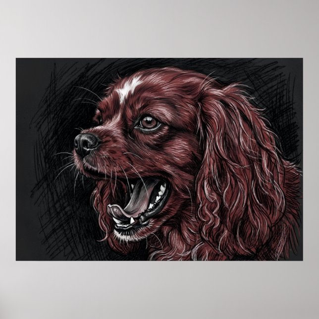Cavalier King Charles Spaniel Póster de Boceto Osc (Frente)