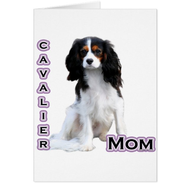 Cavalier Mom 4 (Frente)
