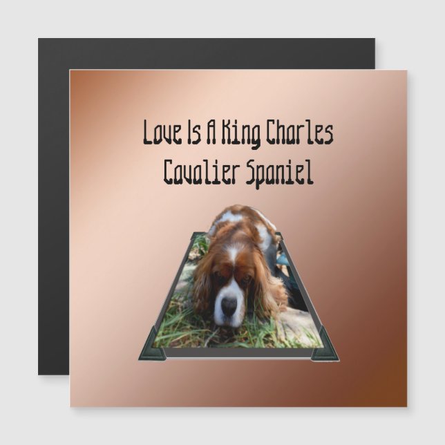 Cavalier Spaniel Popout Art, tarjeta magnética (Anverso/Reverso)