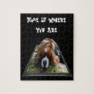 Cavalier Spaniel, rompecabezas de Jigsaw