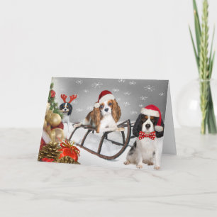 Cavalier Tiene Tarjetas De Navidad Yappy
