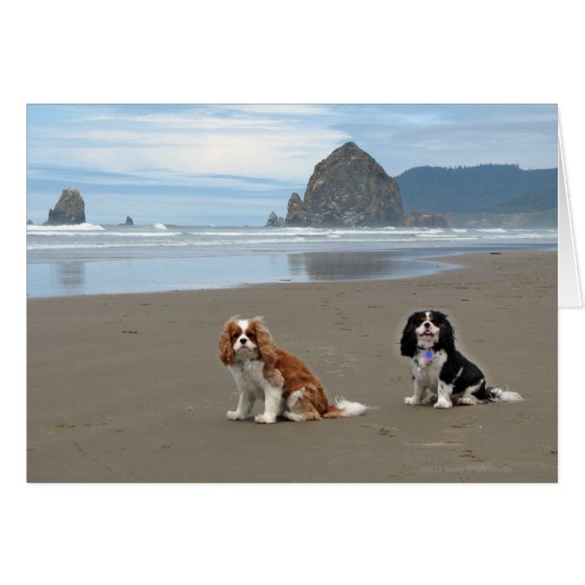 Cavaliers @ Cannon Beach, Oregon (Anverso (Horizontal))