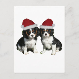 Cavaliers del navidad