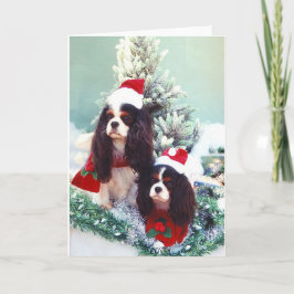 Cavaliers en el navidad