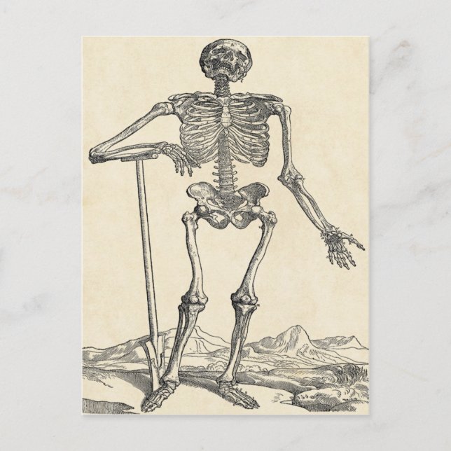 Cavar su propia postal de tumbas (Anverso)