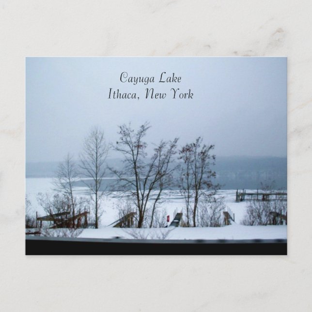 CAYUGA LAGO EN INVIERNO postal (Anverso)