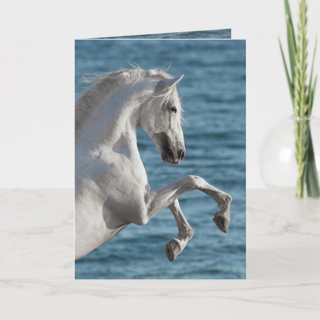 Caza de Caballos de Mar - Tarjeta de Saludo a Caba (Anverso)