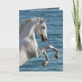 Caza de Caballos de Mar - Tarjeta de Saludo a Caba