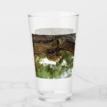 Caza de Cicada. Tenía prisa.