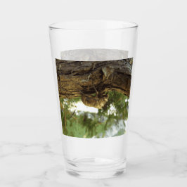 Caza de Cicada. Tenía prisa.