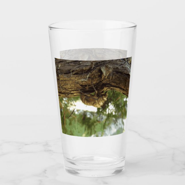 Caza de Cicada. Tenía prisa. (Anverso)