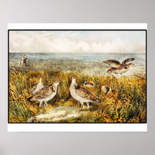 Caza de codornices - Arte fino vintage