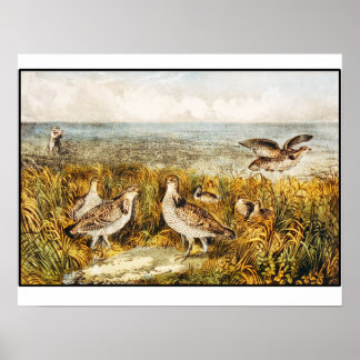 Caza de codornices - Arte fino vintage