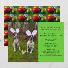 Caza de huevos de Pascua e invitación a perros Fie