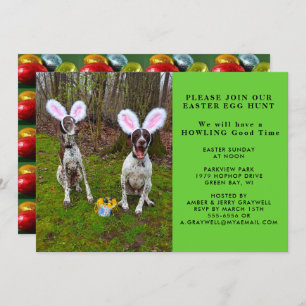 Caza de huevos de Pascua e invitación a perros Fie