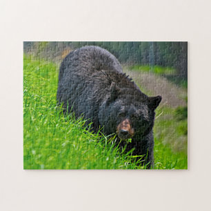 Caza de osos negros, rompecabezas