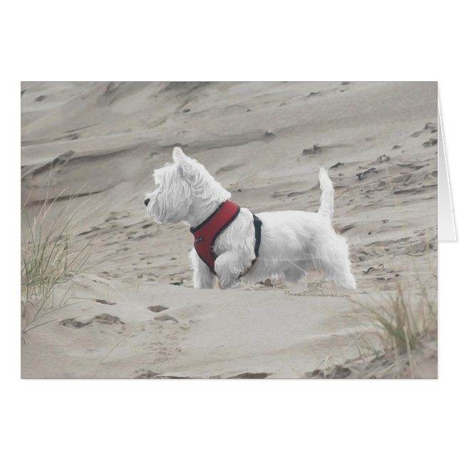 Caza en las Dunas (Anverso (Horizontal))