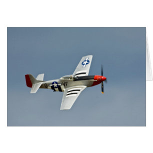 Caza P-51D Mustang con marcas del Día D volando