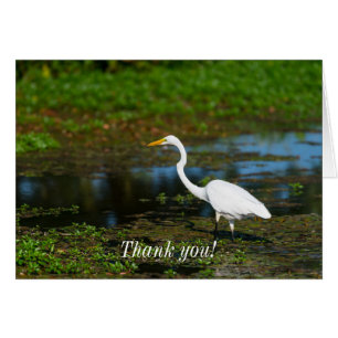 Caza Tarjeta de agradecimiento Egret
