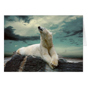 Cazador de oso polar blanco sobre roca