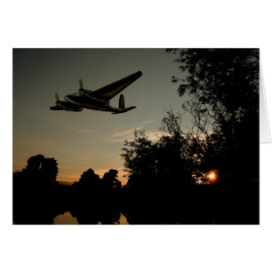 Cazador nocturno de mosquitos