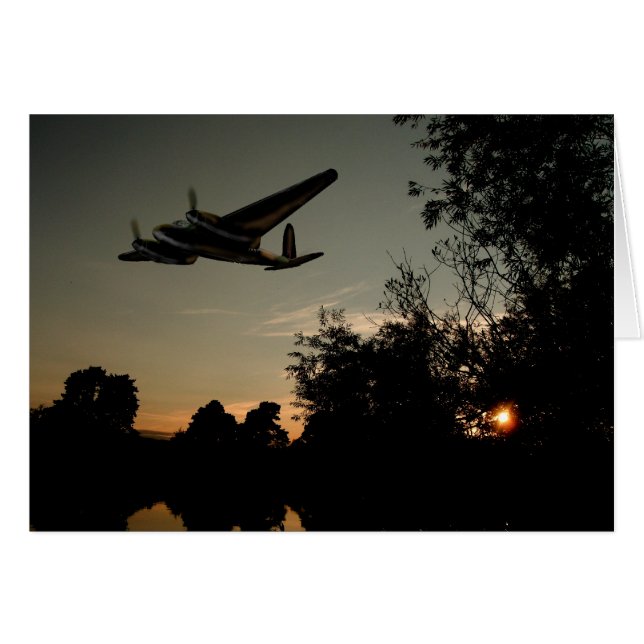 Cazador nocturno de mosquitos (Anverso (Horizontal))