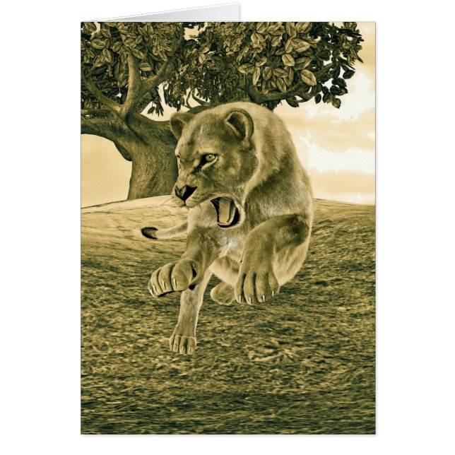 Cazando a la leona (Frente)