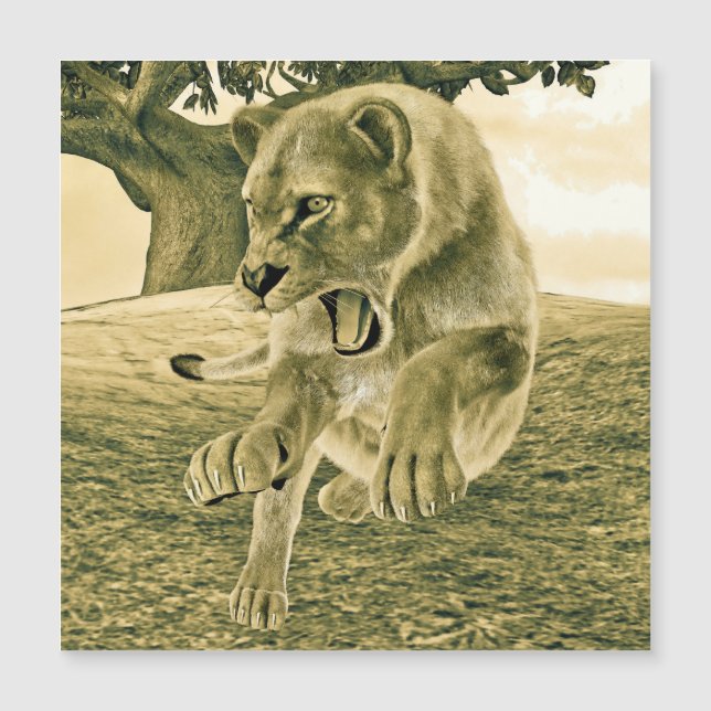 Cazando a la leona (Anverso)